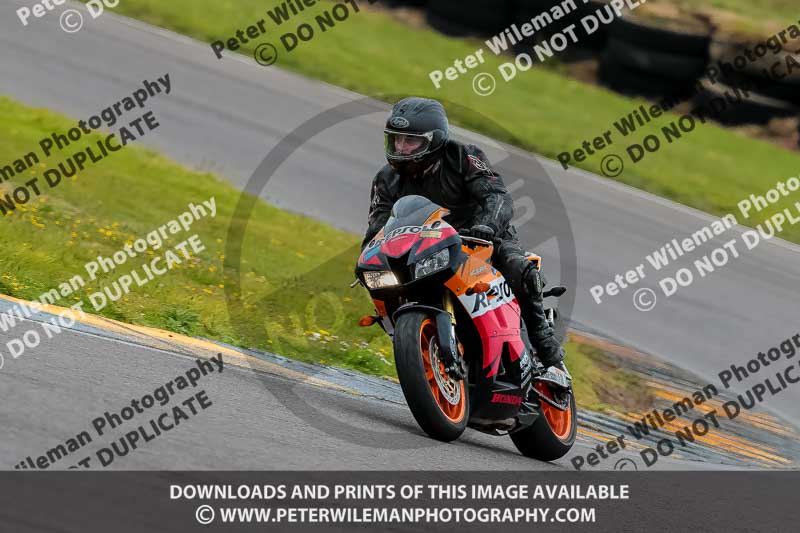 PJ Motorsport 2019;anglesey no limits trackday;anglesey photographs;anglesey trackday photographs;enduro digital images;event digital images;eventdigitalimages;no limits trackdays;peter wileman photography;racing digital images;trac mon;trackday digital images;trackday photos;ty croes